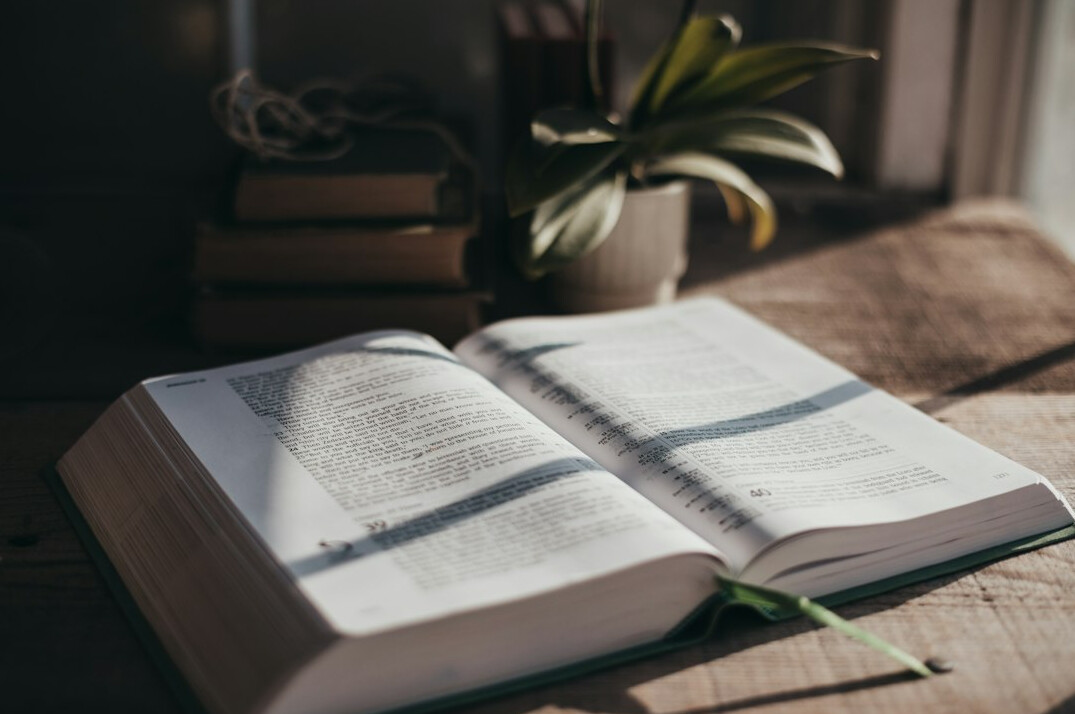 Open book beside a small plant on a calm desk